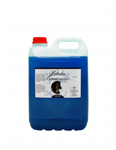 Champú equino